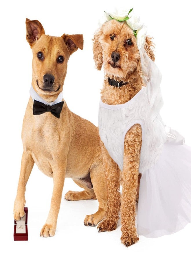 IDOMIK Dog Wedding Dress Puppy Bowknot Princess Skirt, Pet Bride Pure White Lace Tutu Formal Dress Flower Bubble Skirt Tulle Ruffle Sundress Vest Shirts,Birthday Party Costume for Small Dog Apparel XS - Image 5